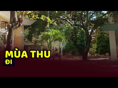 Video Mùa thu đi - youtube