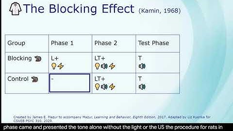 The Blocking Effect