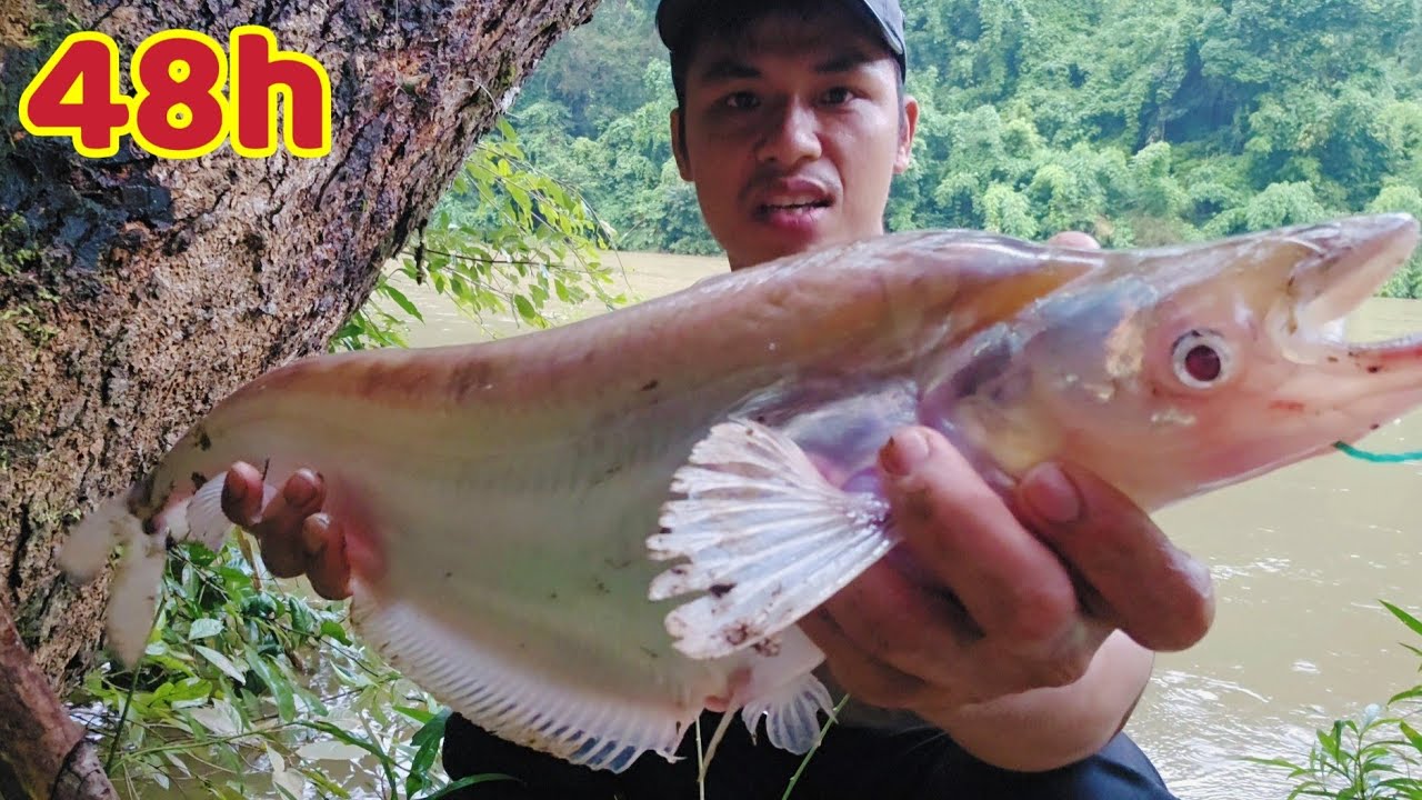 48H Săn Tìm Loài Thủy Quái Nước Ngọt Nhiều Răng Trên Thượng Nguồn Sông Đồng Nai/48h Câu Cá Sinh tồn 