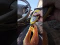 Philly Pretzel Factory Ne Philly Hot Soft Delicious Philly Pretzel Factory Ne Philly Hot Soft Delicious