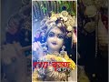 राधा-कृष्ण राधे रमन