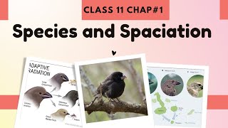 Species & Speciation Explained Easily | Class 11 Biology by Mureed Hussain @Dr biology