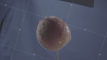 Peach rotating with loop on blue screen for chroma key