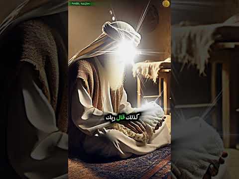 قصة زكريا ويحيى عليهما السلام اكسبلور قصص النبويه المولد الرسول قصة لايك