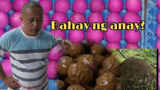 Episode 1Klase Ng Lupa Na Gagamitin Panghalo Sa Paggawa Ng Itlog Na Maalat