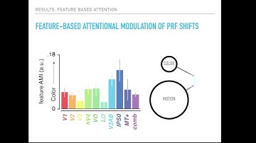 OHBM 2018 | Oral Session | Daan van Es | Cortical sampling of visual space is modulated by both sp…