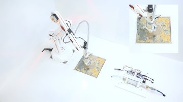 Video-surveillance (short version)