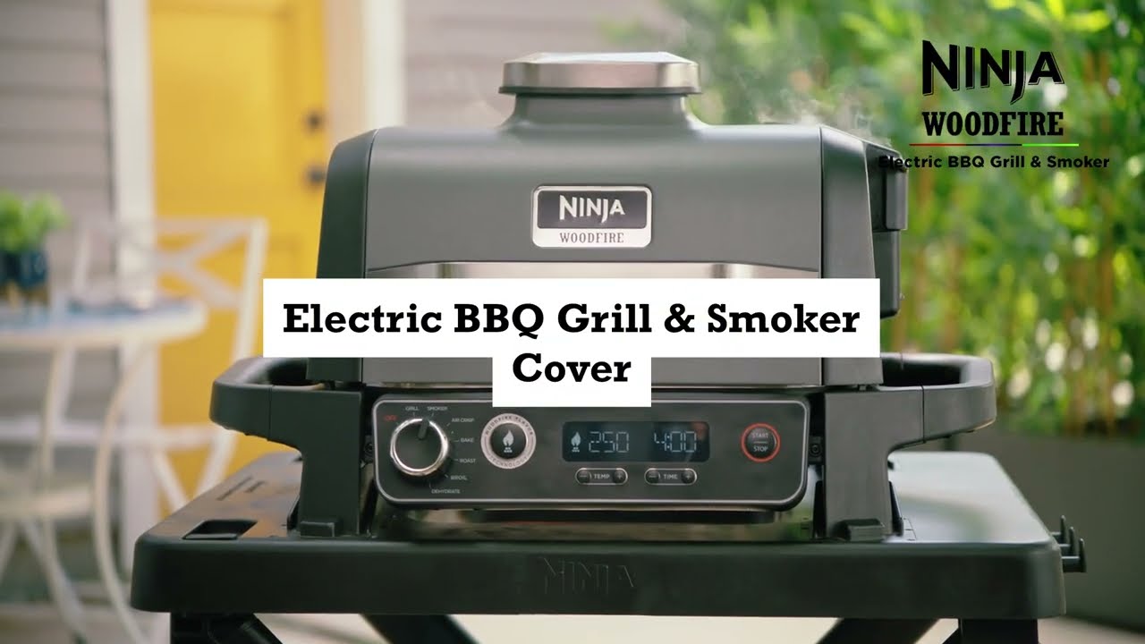 Ninja Woodfire Electric BBQ Grill & Smoker with Stand & Cover - Ninja  Catalog