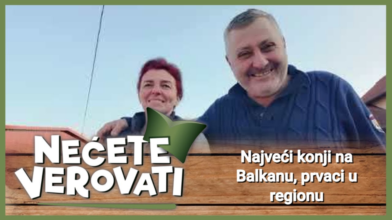 NEĆETE VEROVATI - Najveći konji na Balkanu, prvaci u regionu