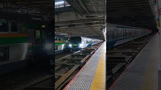 【JR大宮駅】神タイミング！？JR貨物EH500形電気機関車（ECO-POWER金太郎）に続いて、JR東日本E233系3000番台の通勤列車、E257系電車の回送列車がやってきた！（埼玉県・鉄道）