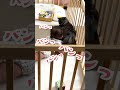 ハプニング