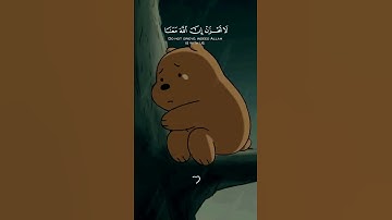لا تحزن ان الله معنا|القارئ/ عبدالرحمن مسعد|قرآن #كريم #راحة_نفسية