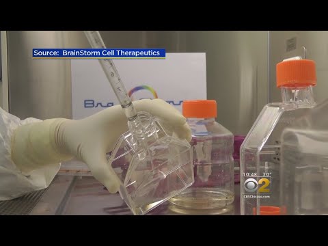 New Stem Cell