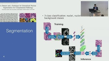 Artificial Intelligence algorithms in digital pathology: an overview