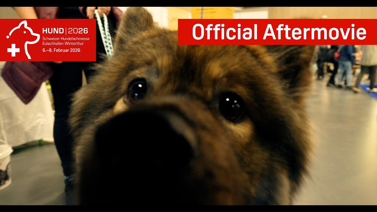 HUND 26 Winterthur | Official Aftermovie