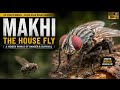 Makhi: Woh Duniya Jo Aankh Nahi Dekhti | Think Spark |