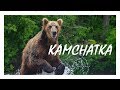 Wild Kamchatka | Olympus Wildlife Project by Marcin Dobas