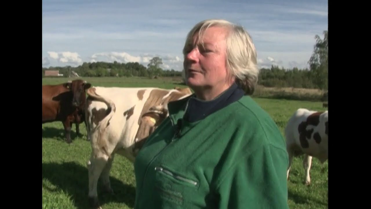 PROVINCE: Govju nominācijas.