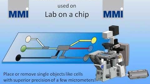 MMI CellEctor Plus: Lab on a chip