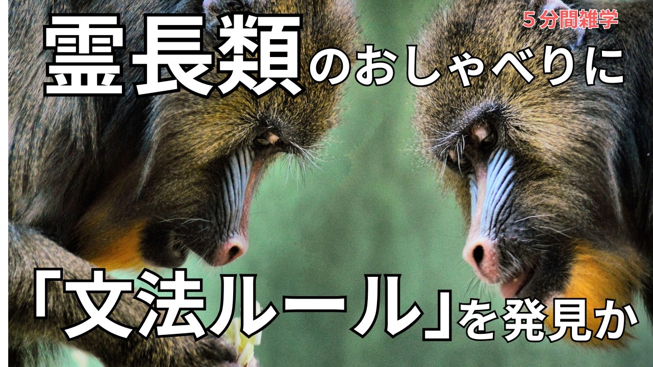 霊長類のおしゃべりに「文法のルール」を発見か【5分間雑学】