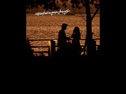 عمرو دياب طول ما انا شايفك جنبي انا مطمن من قلبي