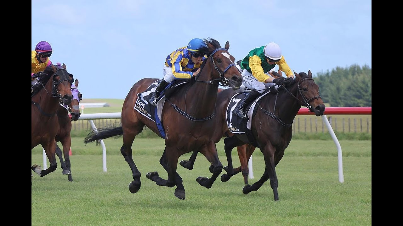 NEW ZEALAND RACE MEETING 14/11/2025 WAVERLEY RACE 3