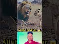 Allahuakbar 