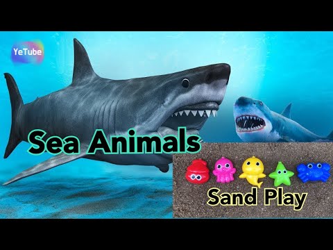 뽀로로와 로보카폴리 모래놀이- 바다동물 영어로 알아봐요 Learn Sea Animals! Pororo and Robocar Poli sand play  [예튜브]