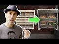 How to make a Cheap and Easy pallet Wall Garden
