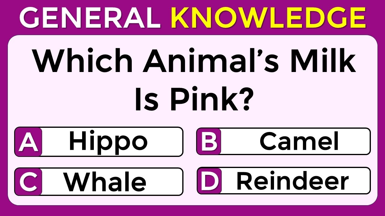 How Good Is Your General Knowledge? Take This 30-Question Quiz To Find Out! 236