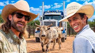 JB/DB Trucks To A Bull Sale!