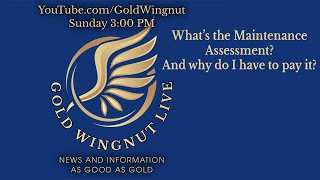Gold Wingnut Live #87 10/26/2025 at 3:00 PM