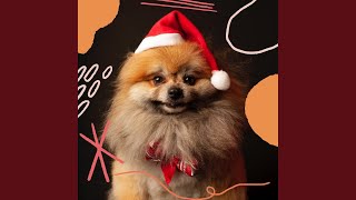 Simplistic Backdrops for Doggy Nap Time