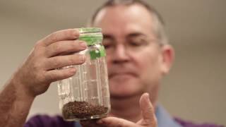 Michael Dryden | Fighting Fleas Fleas Michael Dryden Dvm Ms Phd
