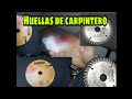 todo sobre los discos.Huellas de carpintero