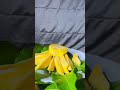 Mango pickles #music #trending #viral #youtube #edit #food #food #shortvideo