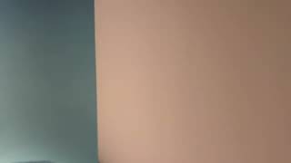 IMG 4596