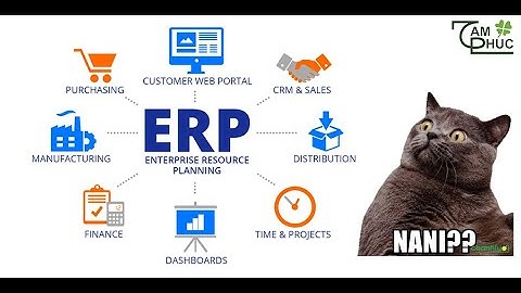 ERP là gì? Hệ thống ERP | Giải pháp ERP Cho Doanh Nghiệp