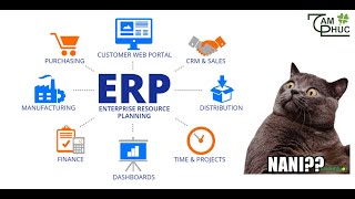 ERP là gì? Hệ thống ERP | Giải pháp ERP Cho Doanh Nghiệp