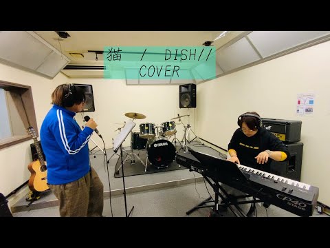 猫/DISH// ［COVER by Night stroll…]