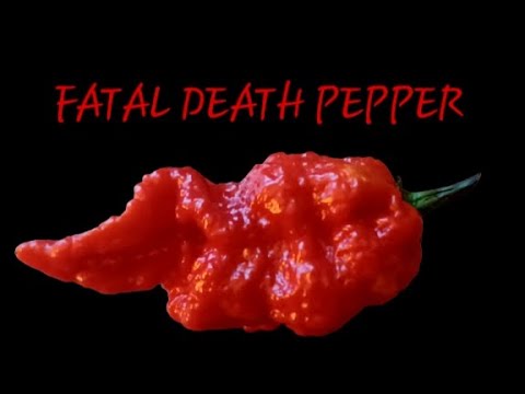 WORLD'S HOTTEST PEPPER ? FATAL DEATH PEPPER FROM BULL CITY PEPPER CO