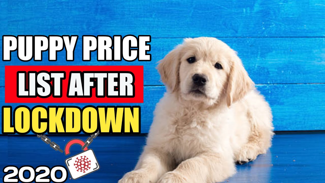 puppy price list
