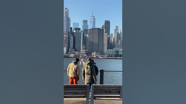 Manhattan Skyline 🇺🇸 Brooklyn 🎄 New York City 🍎 NYC 🚕 NY USA 🗽Travel vlog - Christmas Holiday Season