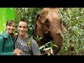HIKING WITH ELEPHANTS (ETHICALLY)!: Elephant Valley Project, Cambodia!