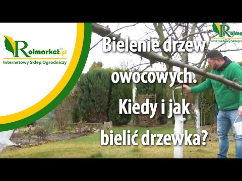 Wideo: Bielenie Drzew Owocowych