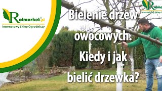 Bielenie drzew owocowych - kiedy i jak bielić drzewka? | Rolmarket.pl