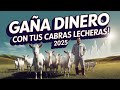 Descubre Cómo Hacer Dinero con Cabras Lecheras en 2025
