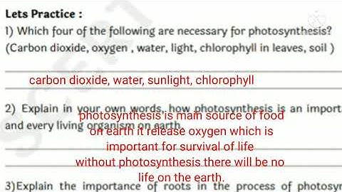 answers #Bridge Course #Standard 8# subject Science# Activity 5 and 6