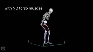 Sit to Stand Transfer: Forward Dynamics (One Step Closer)