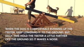 Dog Agility Week Four: Training the Agility Teeter